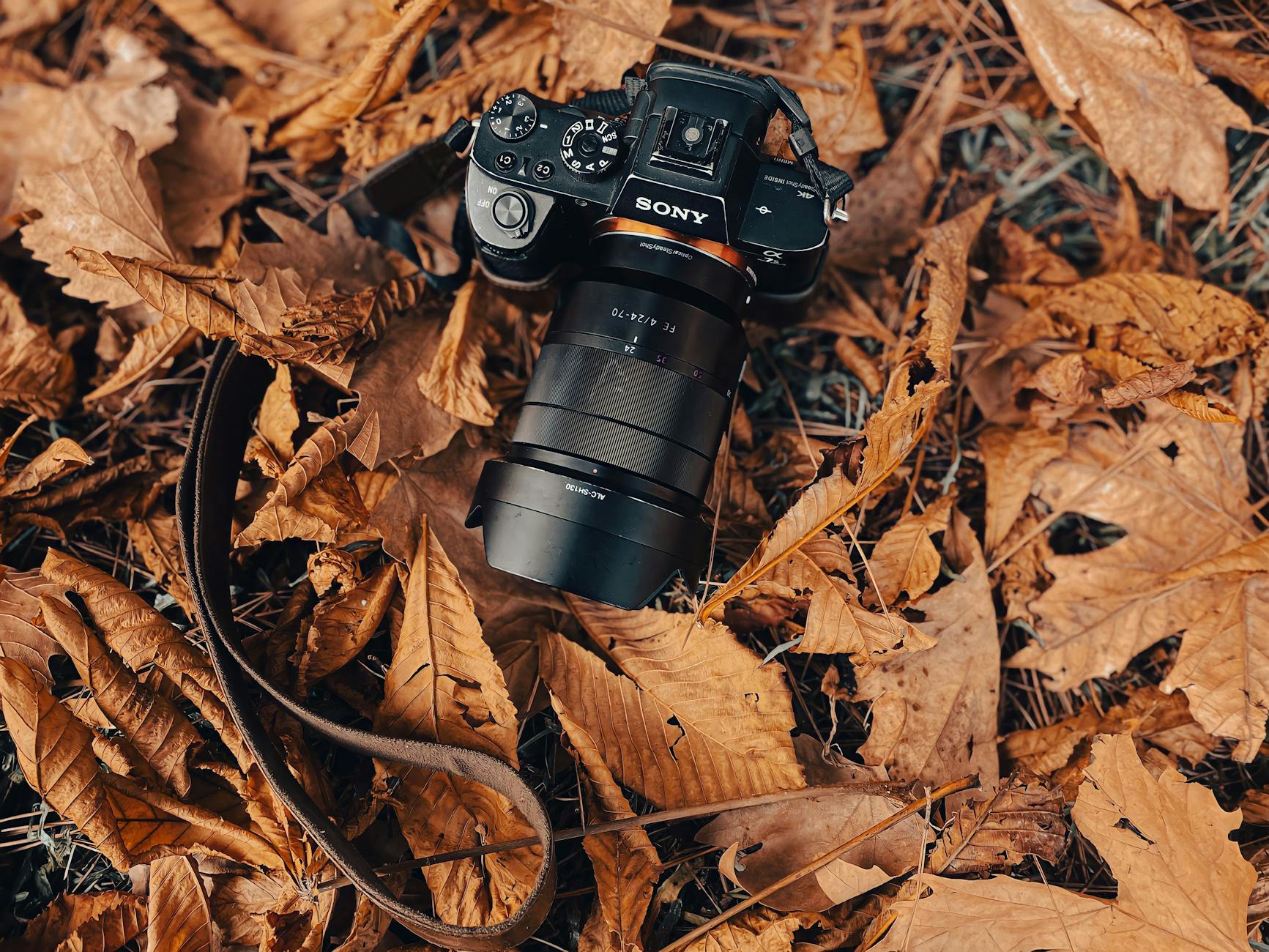 close up shot of a camera on dried leaves